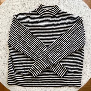 Everlane Cashmere Crop Mockneck Sweater